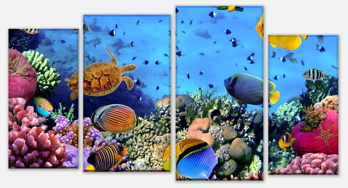 Leinwandbild Mehrteiler Korallenriff mit Fischen M0480 Leinwandbild Mehrteiler Korallenriff mit Fischen M0480