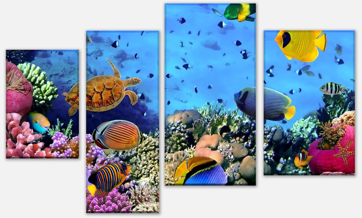 Leinwandbild Mehrteiler Korallenriff mit Fischen M0480 Leinwandbild Mehrteiler Korallenriff mit Fischen M0480