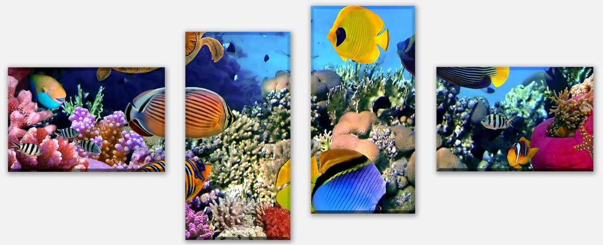 Leinwandbild Mehrteiler Korallenriff mit Fischen M0480 Leinwandbild Mehrteiler Korallenriff mit Fischen M0480