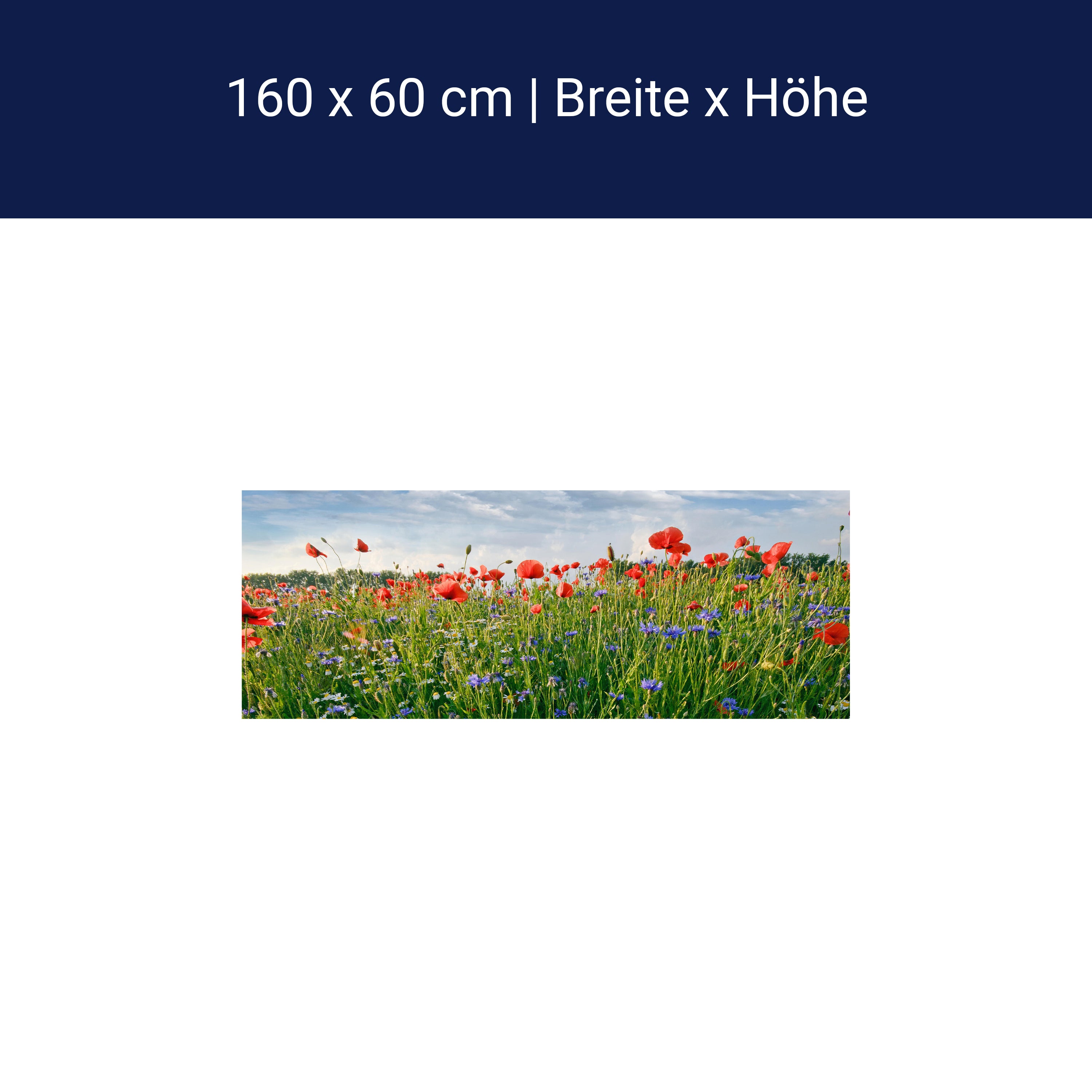 Küchenrückwand Blumenwiese M0493 Küchenrückwand Blumenwiese M0493