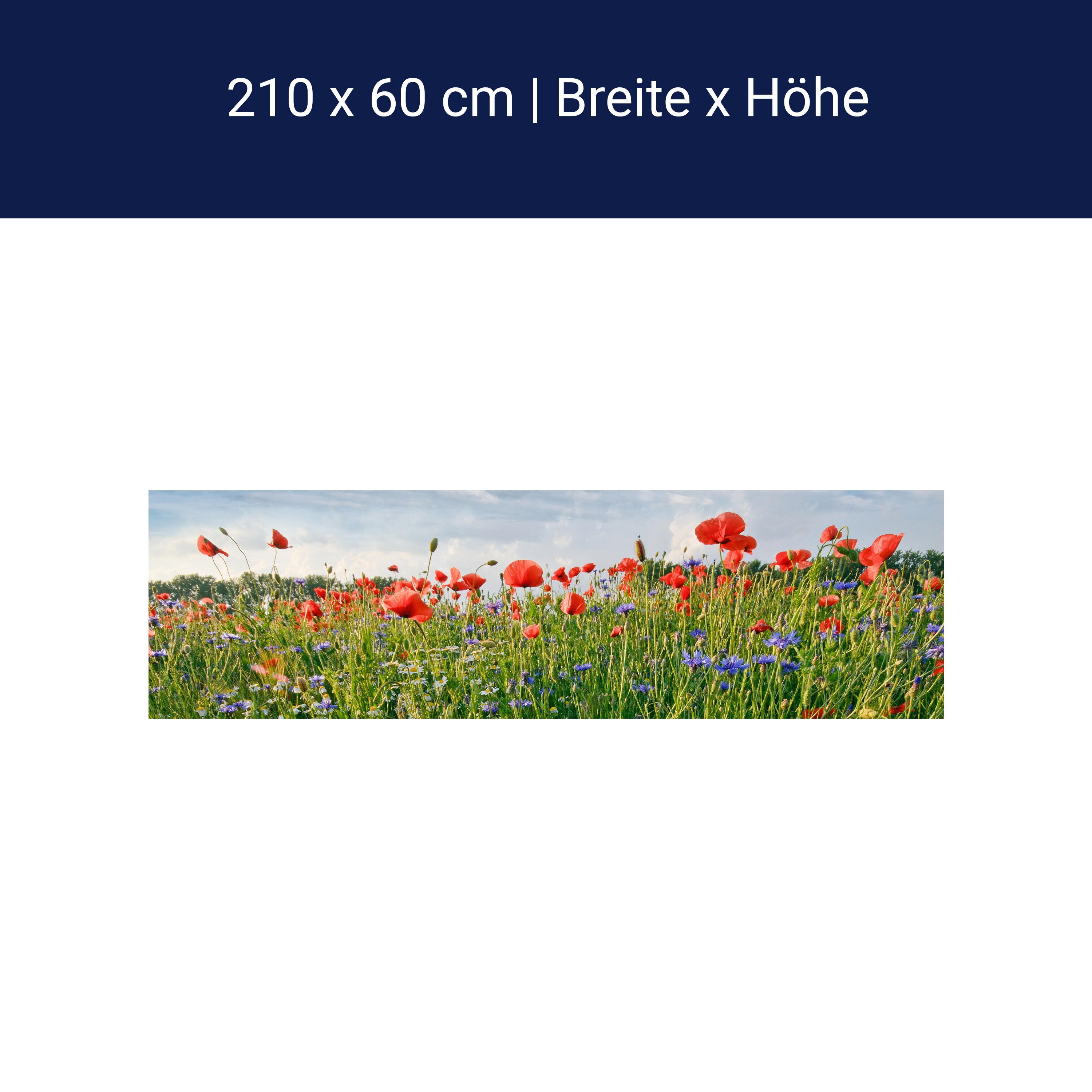 Küchenrückwand Blumenwiese M0493 Küchenrückwand Blumenwiese M0493