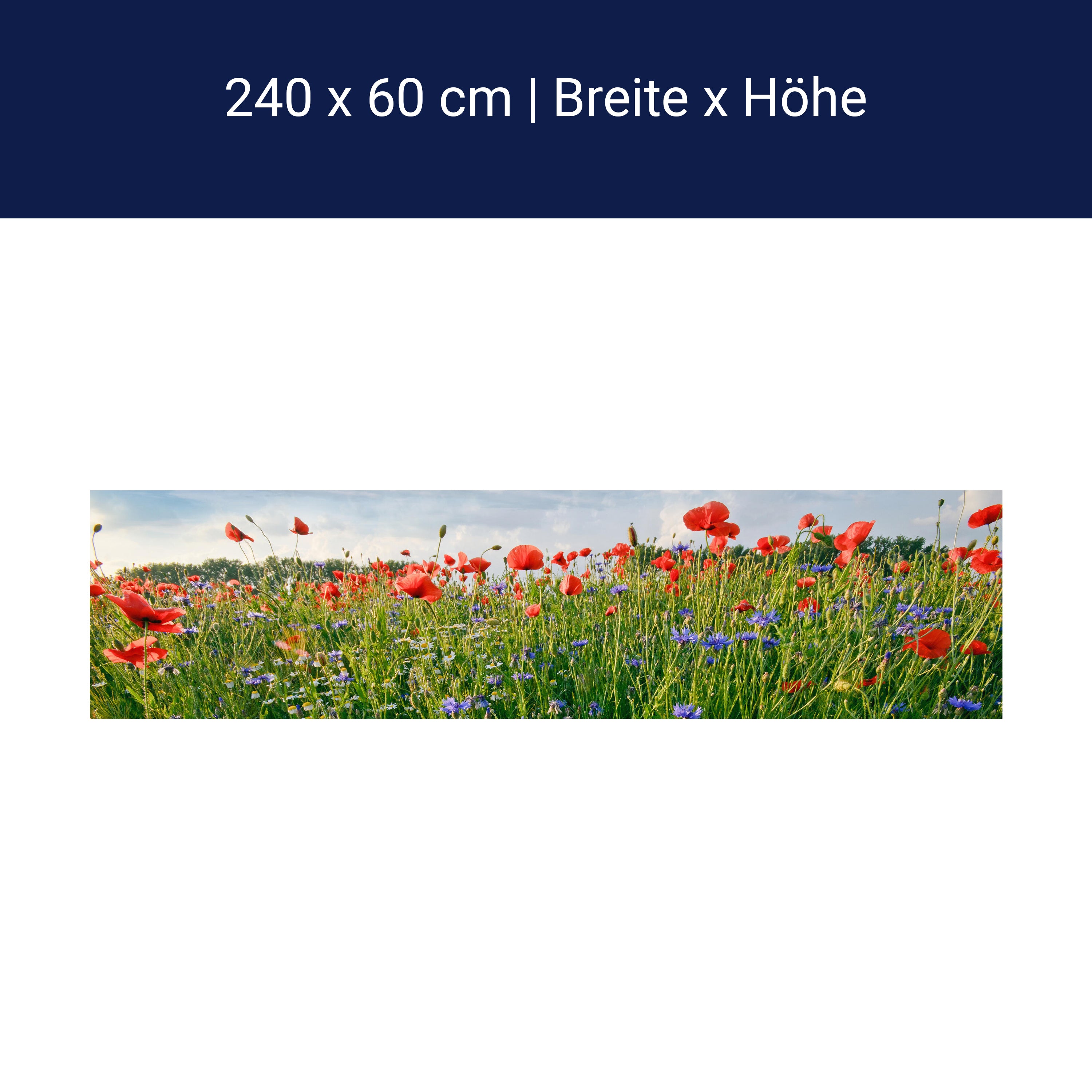 Küchenrückwand Blumenwiese M0493 Küchenrückwand Blumenwiese M0493