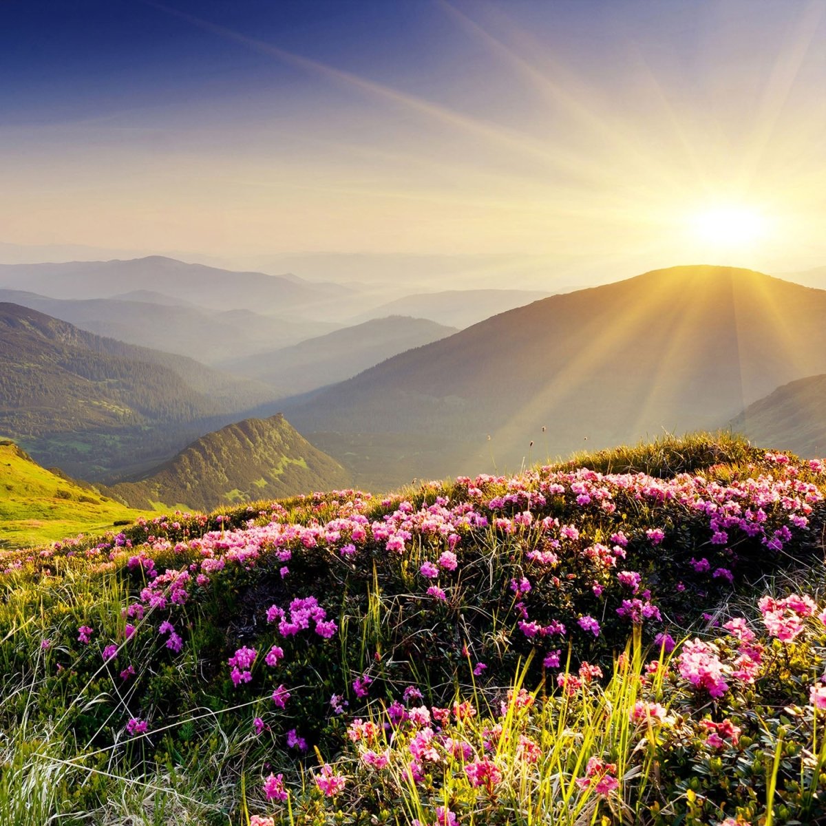 Beistelltisch Bergrücken im Sonnenlicht M0511 entdecken - Bild 2 Beistelltisch Bergrücken im Sonnenlicht M0511 entdecken - Bild 2