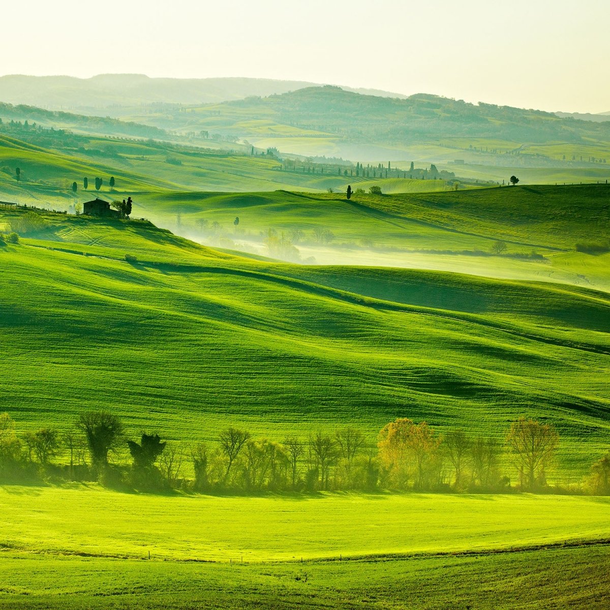Beistelltisch Grüne Toskana M0512 entdecken - Bild 2 Beistelltisch Grüne Toskana M0512 entdecken - Bild 2