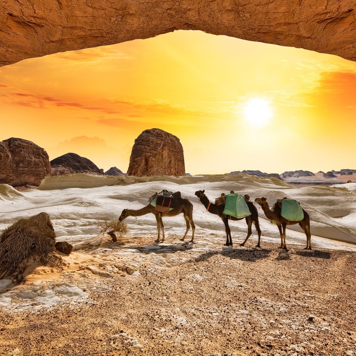 Beistelltisch Kamele in der Wüste M0562 entdecken - Bild 2