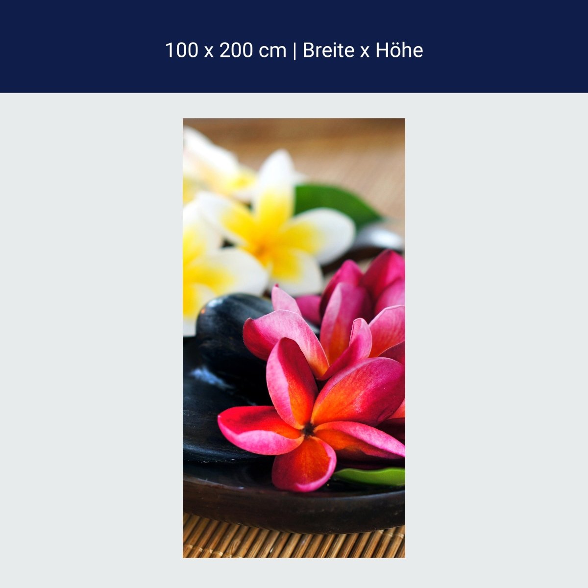 Duschwand Fangipani Blumen M0570