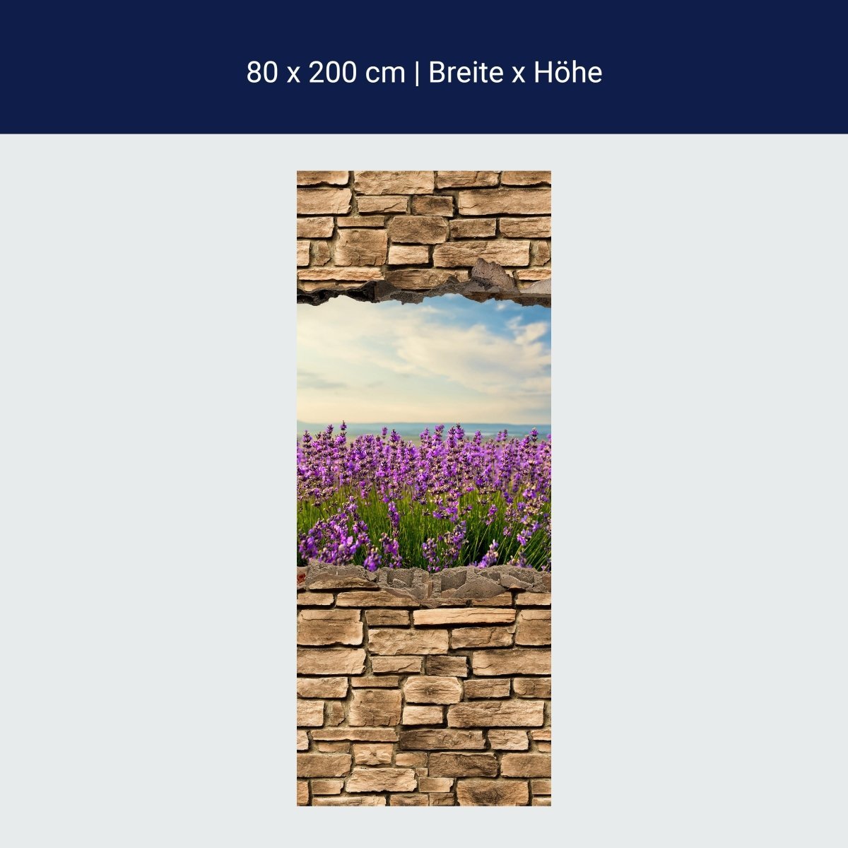Duschwand 3D Lavendelfeld am Meer - Steinmauer M0663 Duschwand 3D Lavendelfeld am Meer - Steinmauer M0663
