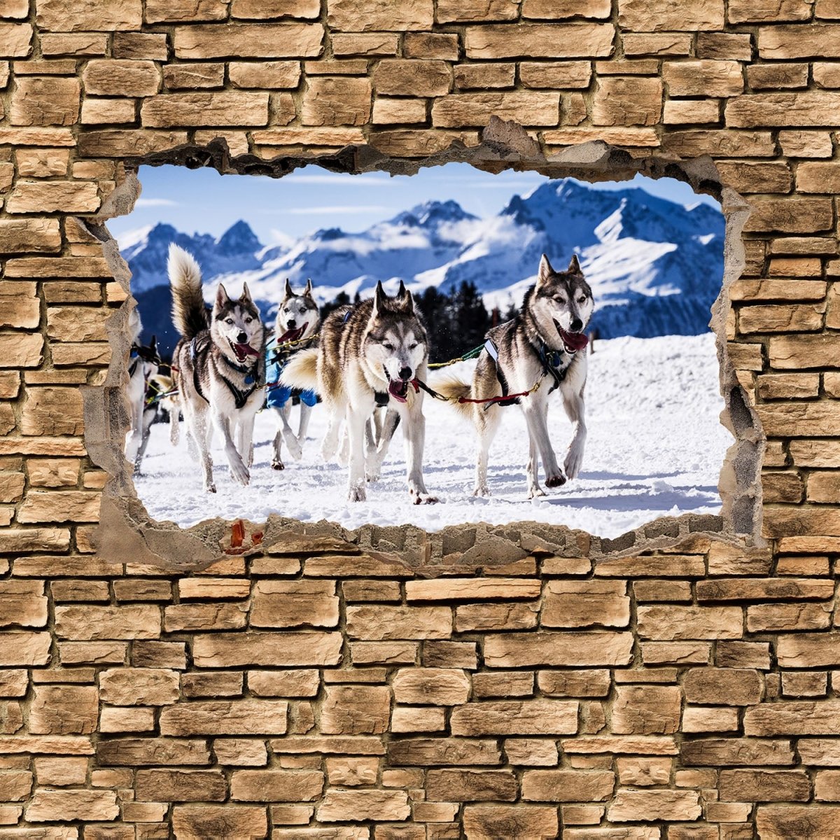Beistelltisch 3D Schlittenhunde Racing - Steinmauer M0671 entdecken - Bild 2 Beistelltisch 3D Schlittenhunde Racing - Steinmauer M0671 entdecken - Bild 2