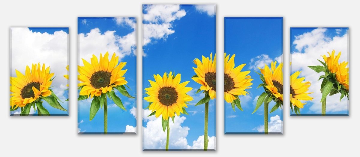 Leinwandbild Mehrteiler Sonnenblumen M0705 entdecken - Bild 1 Leinwandbild Mehrteiler Sonnenblumen M0705 entdecken - Bild 1