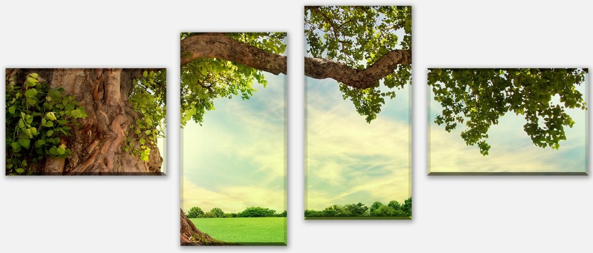 Leinwandbild Mehrteiler Frühling Wiese M0715 Leinwandbild Mehrteiler Frühling Wiese M0715