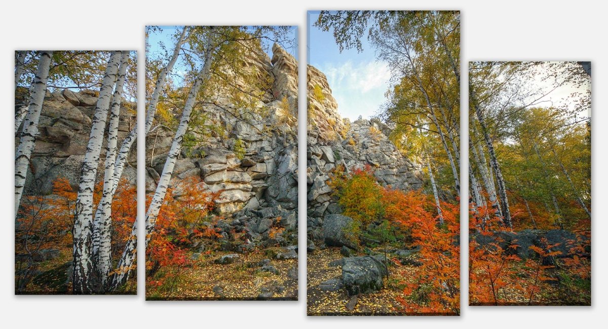Leinwandbild Mehrteiler Herbst Birkenbaum Wald M0716 Leinwandbild Mehrteiler Herbst Birkenbaum Wald M0716