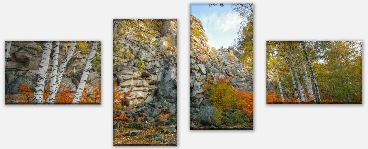 Leinwandbild Mehrteiler Herbst Birkenbaum Wald M0716 Leinwandbild Mehrteiler Herbst Birkenbaum Wald M0716