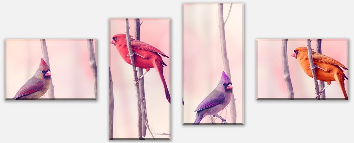 Leinwandbild Mehrteiler Kardinalvögel M0718