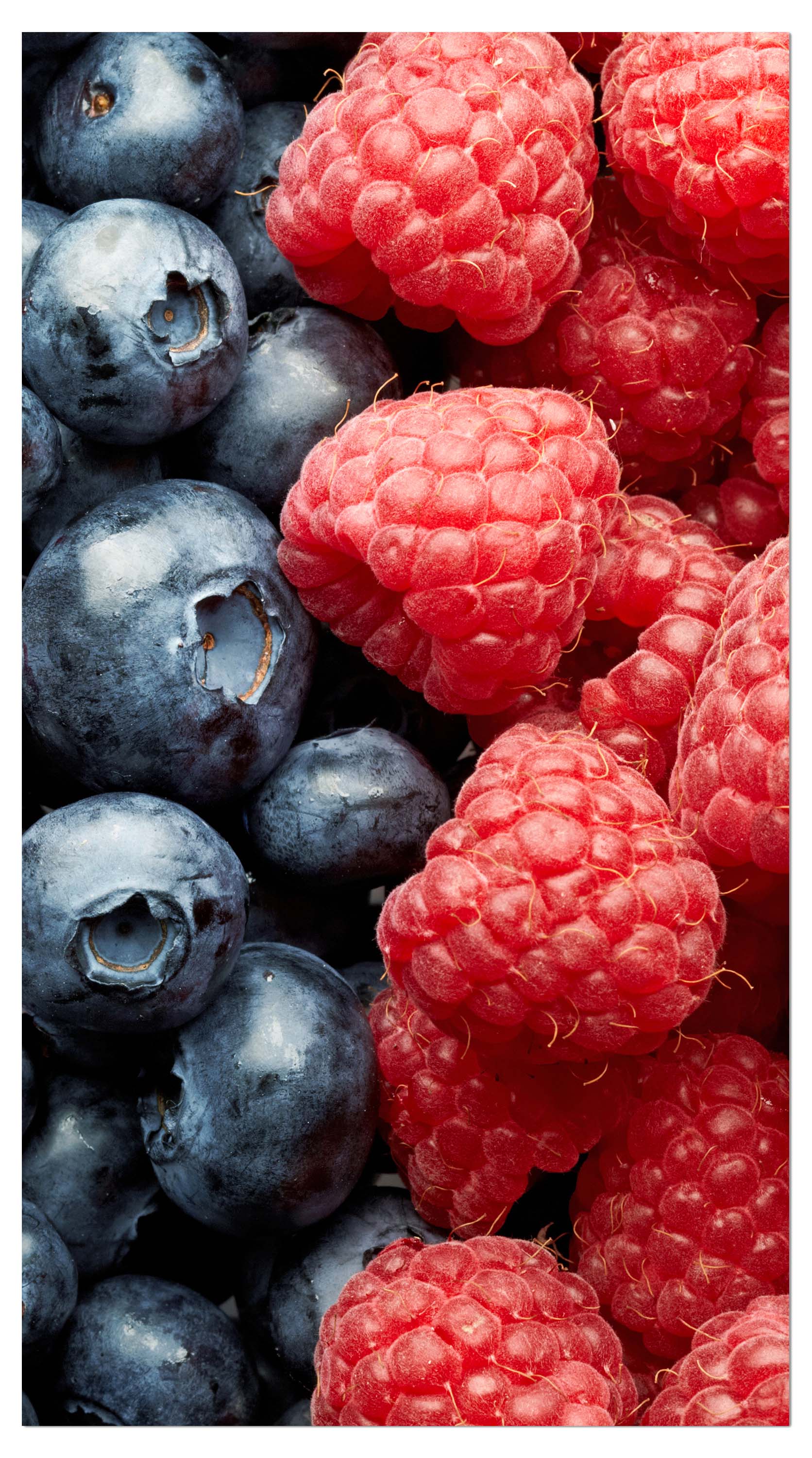 Garderobe Heidelbeeren und Himbeeren M0732 entdecken - Bild 4 Garderobe Heidelbeeren und Himbeeren M0732 entdecken - Bild 4