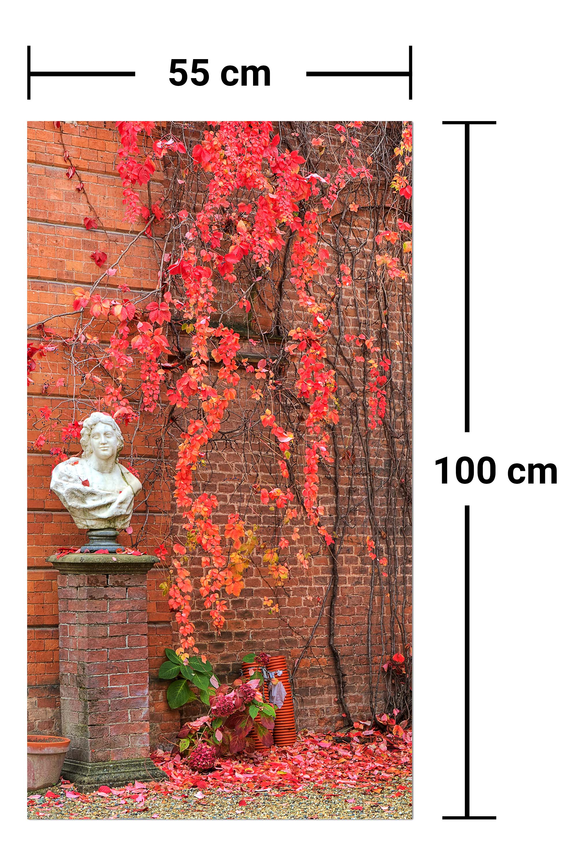 Garderobe Efeu mit roten Blättern wachsen auf einer roten Mauer M0789 entdecken - Bild 7