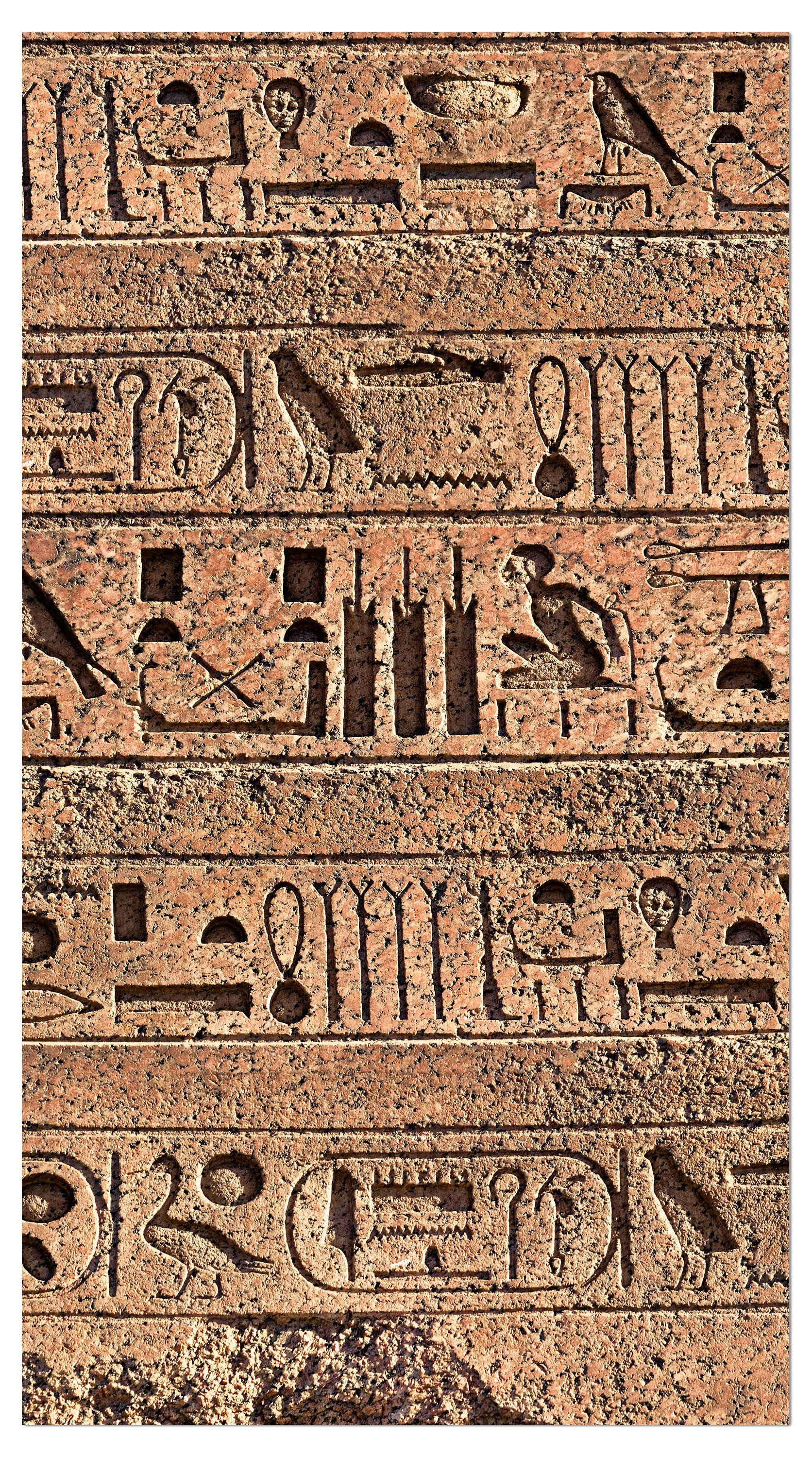 Garderobe Ägyptische Hieroglyphen auf einer alten Mauer M0806 entdecken - Bild 4