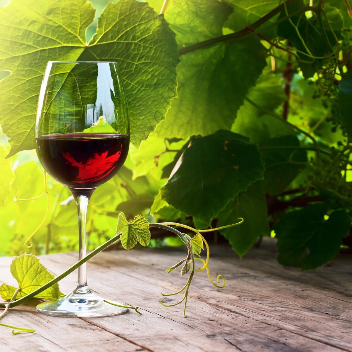 Beistelltisch Glas mit Rotwein im Weinberg M0830 entdecken - Bild 2