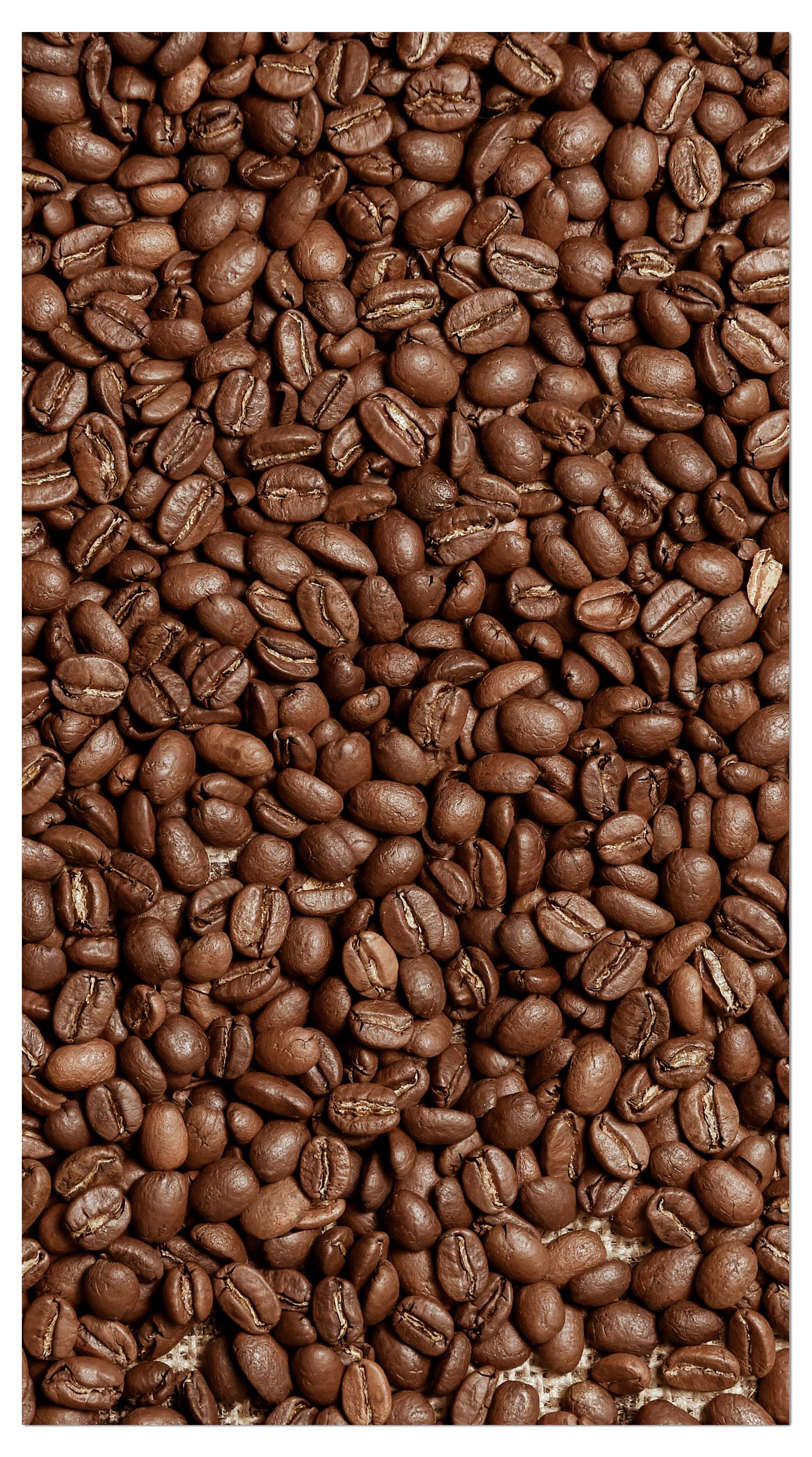Garderobe Braune Kaffeebohne geröstet M0843 entdecken - Bild 4
