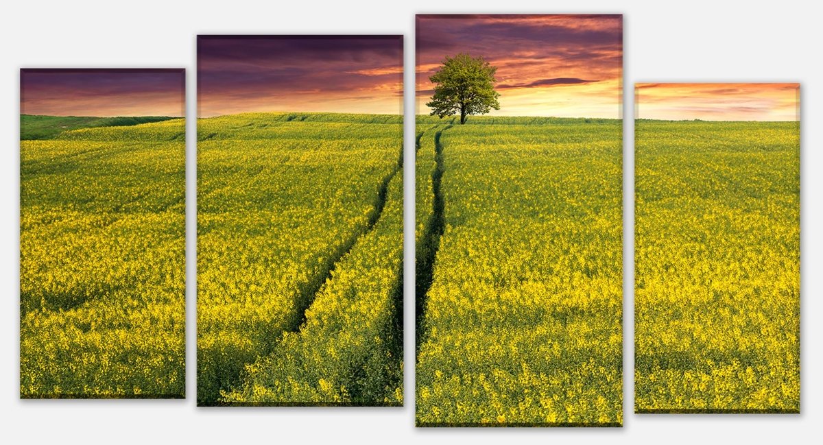 Leinwandbild Mehrteiler Landschaft mit einem Feld von gelben Blumen M0874 Leinwandbild Mehrteiler Landschaft mit einem Feld von gelben Blumen M0874