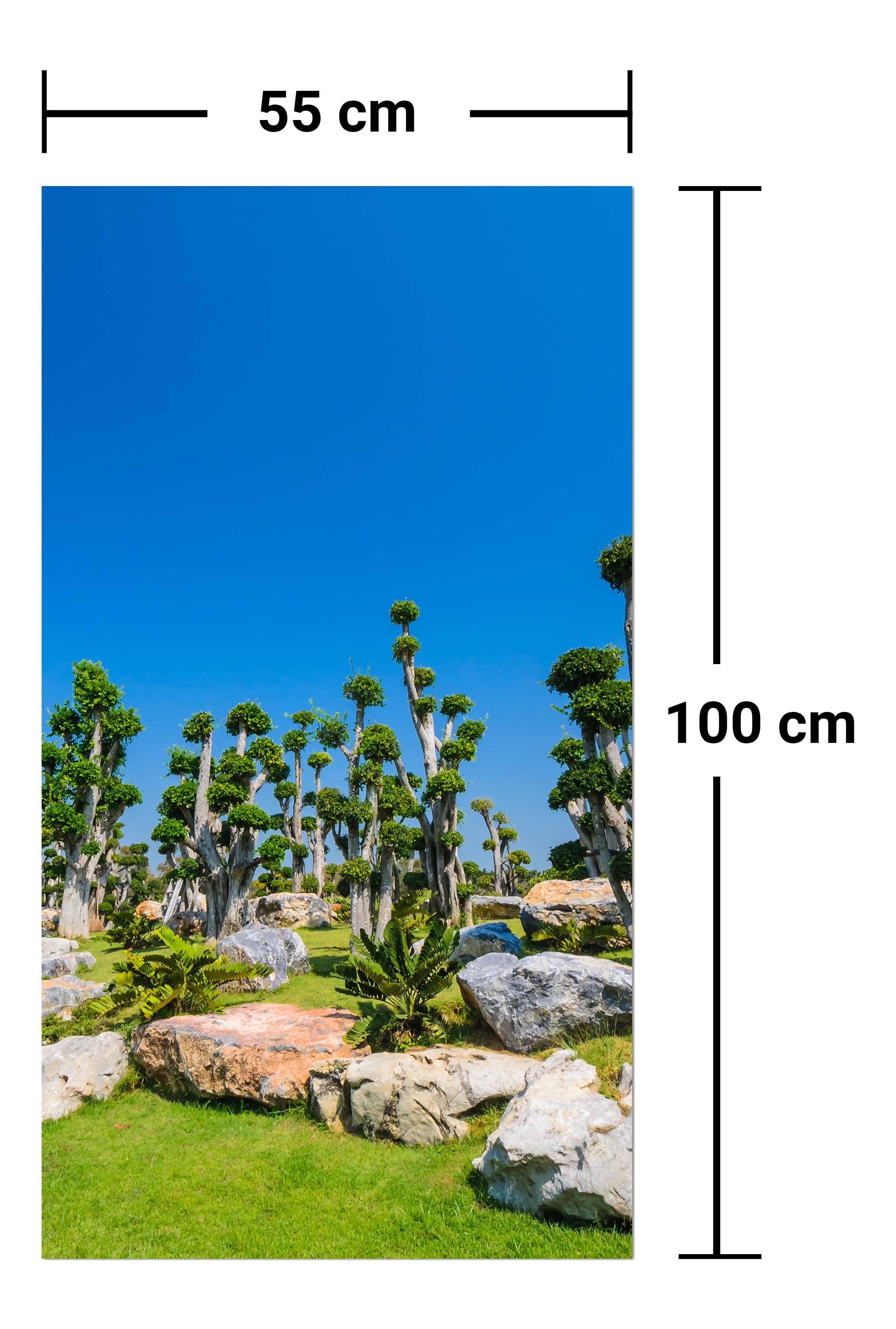 Garderobe Bäume und Felsen im Garten M0886 entdecken - Bild 7 Garderobe Bäume und Felsen im Garten M0886 entdecken - Bild 7