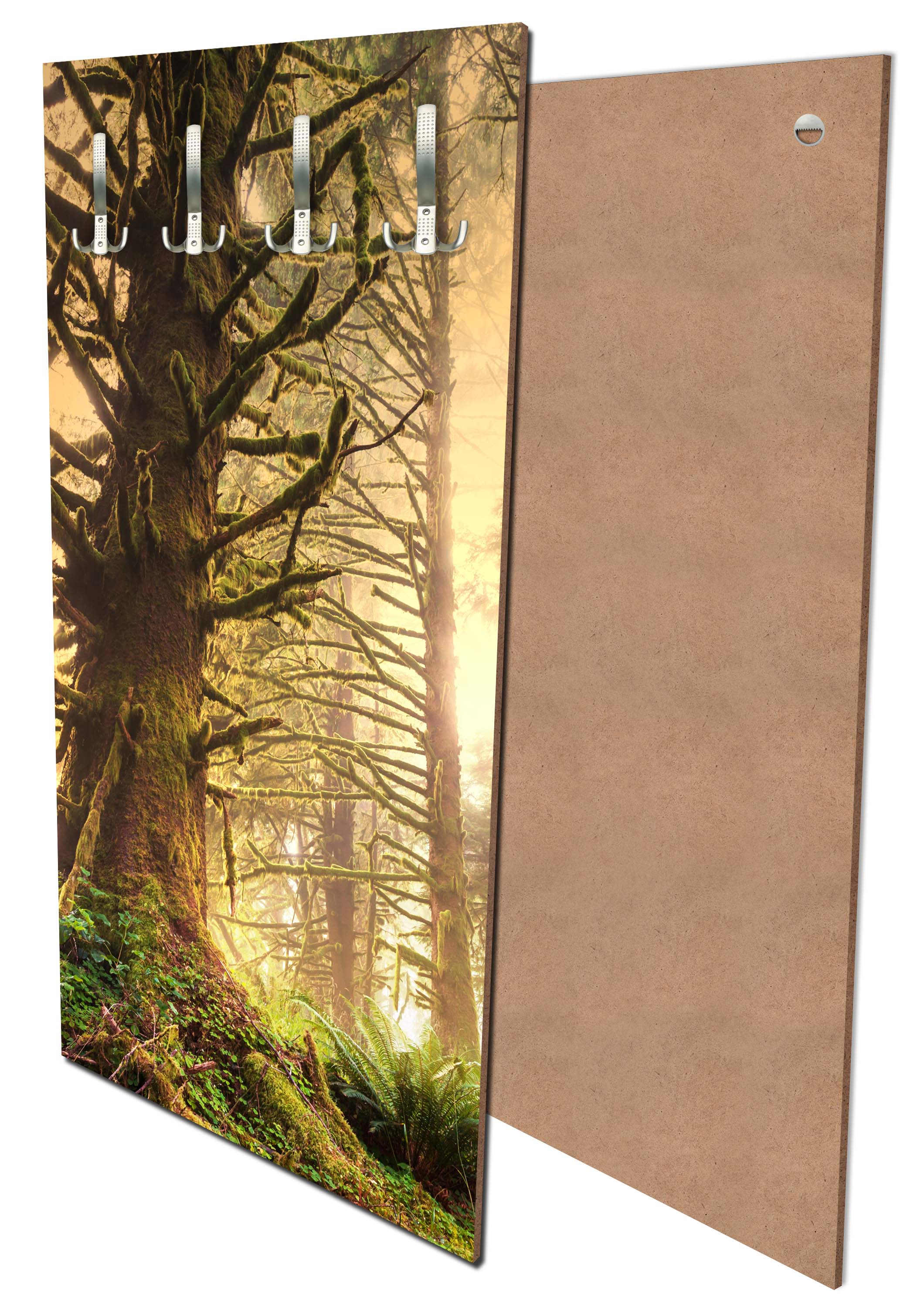 Garderobe Regenwald im Olympischen Nationalpark M0887 entdecken - Bild 1 Garderobe Regenwald im Olympischen Nationalpark M0887 entdecken - Bild 1