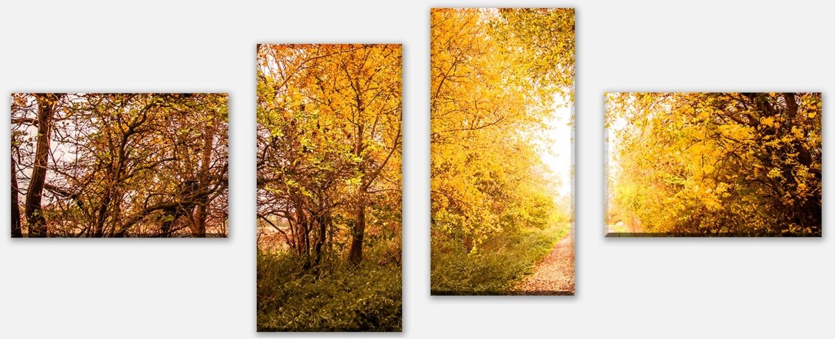 Leinwandbild Mehrteiler Herbstlandschaft in warmen Farben M0896
