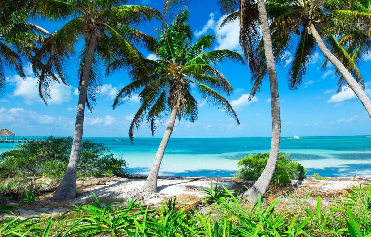 Leinwandbild Mehrteiler Palmen an einem tropischen Strand M0914