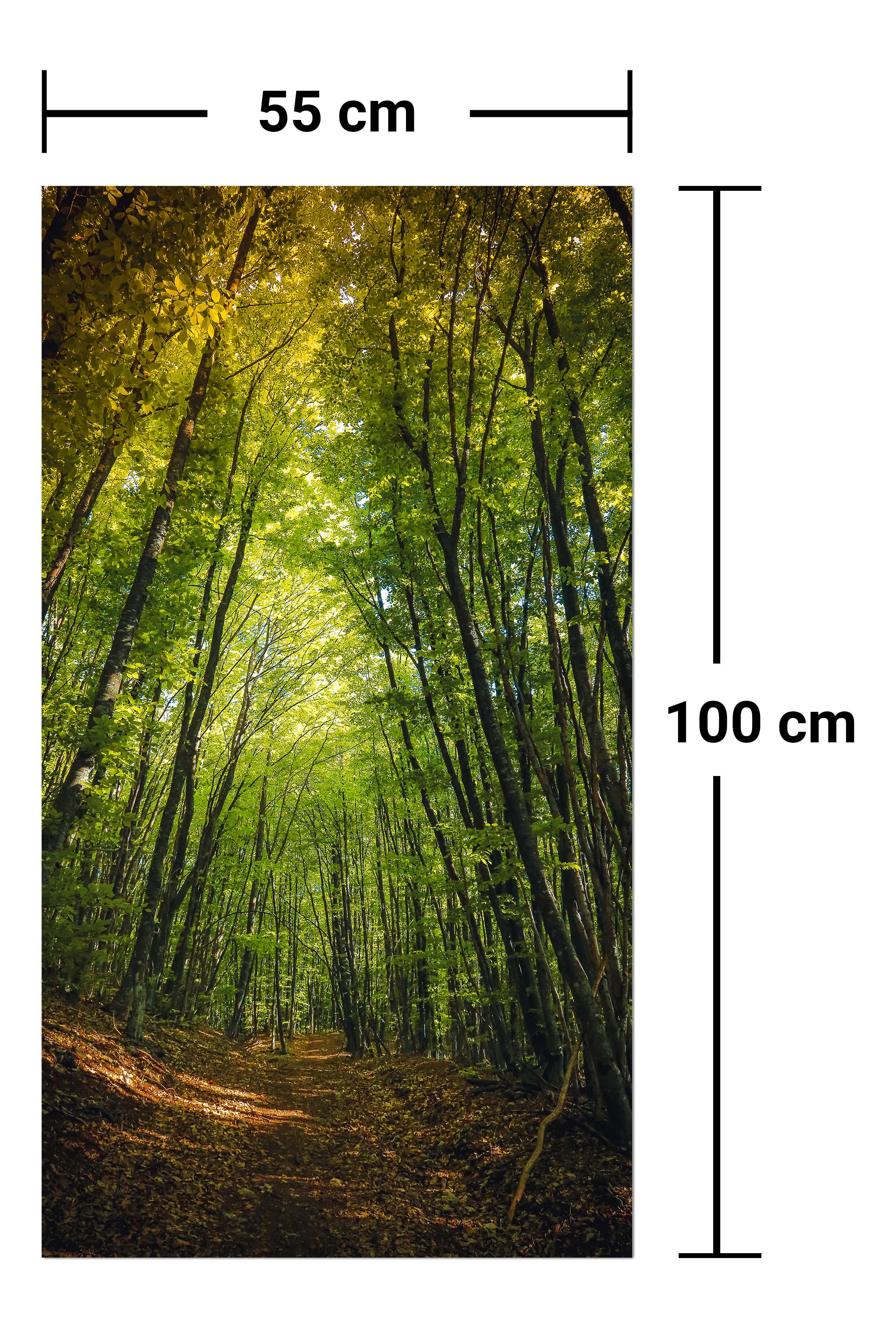 Garderobe Dunkler Weg im Wald M0923 entdecken - Bild 7 Garderobe Dunkler Weg im Wald M0923 entdecken - Bild 7