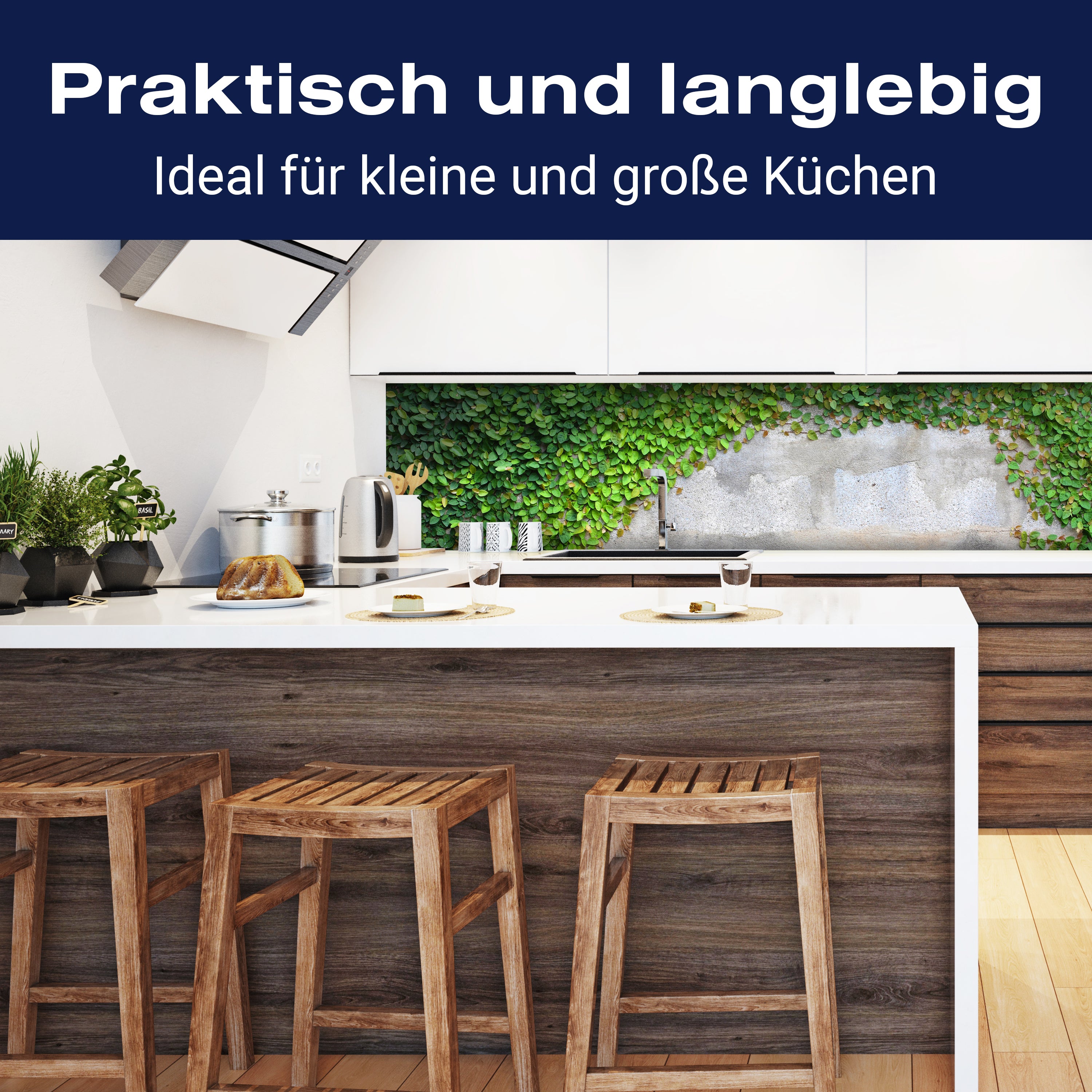 Küchenrückwand Eine Kriechpflanze auf einer Mauer M0937 entdecken - Bild 3 Küchenrückwand Eine Kriechpflanze auf einer Mauer M0937 entdecken - Bild 3