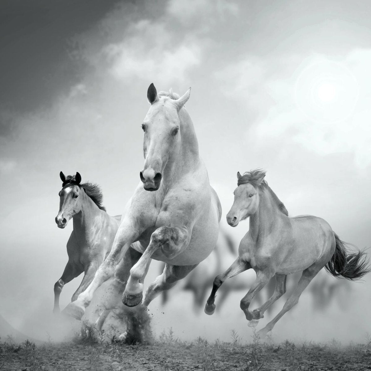 Beistelltisch Pferde laufen in Weiß und Schwarz M0945 entdecken - Bild 2