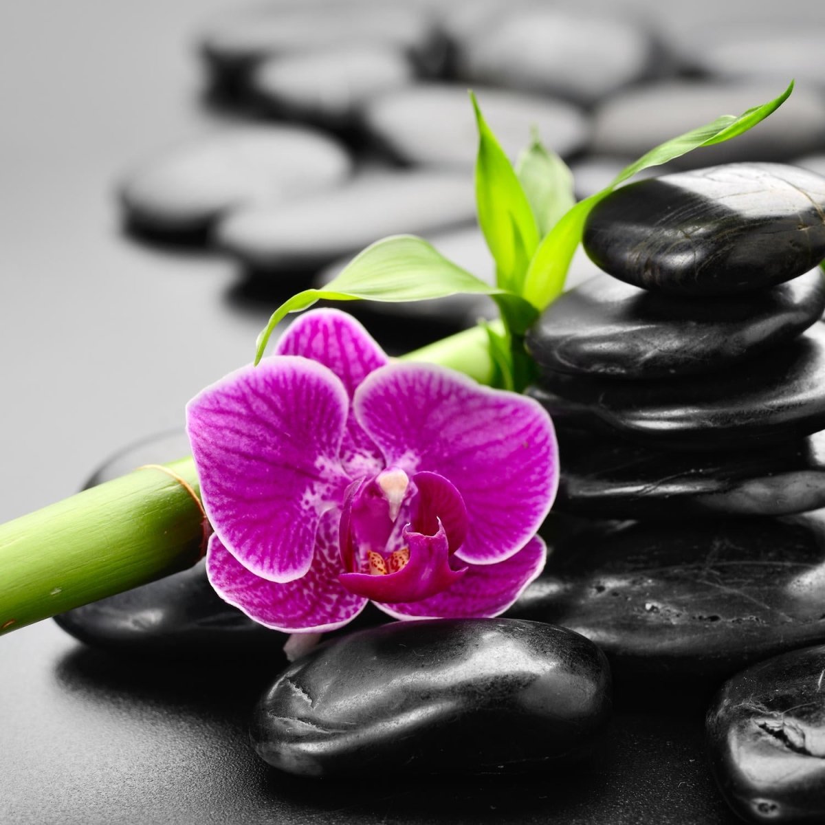 Beistelltisch Zen Basaltsteine und Orchidee M0954 entdecken - Bild 2 Beistelltisch Zen Basaltsteine und Orchidee M0954 entdecken - Bild 2