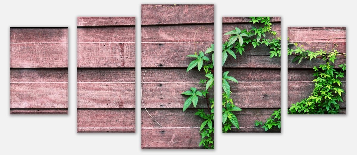 Leinwandbild Mehrteiler Wand mit Kletterpflanze M1004 entdecken - Bild 1 Leinwandbild Mehrteiler Wand mit Kletterpflanze M1004 entdecken - Bild 1