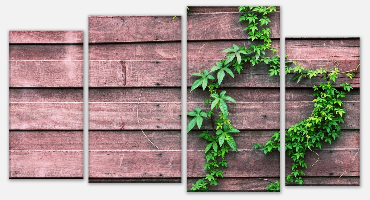 Leinwandbild Mehrteiler Wand mit Kletterpflanze M1004 Leinwandbild Mehrteiler Wand mit Kletterpflanze M1004