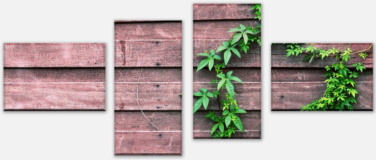 Leinwandbild Mehrteiler Wand mit Kletterpflanze M1004 Leinwandbild Mehrteiler Wand mit Kletterpflanze M1004