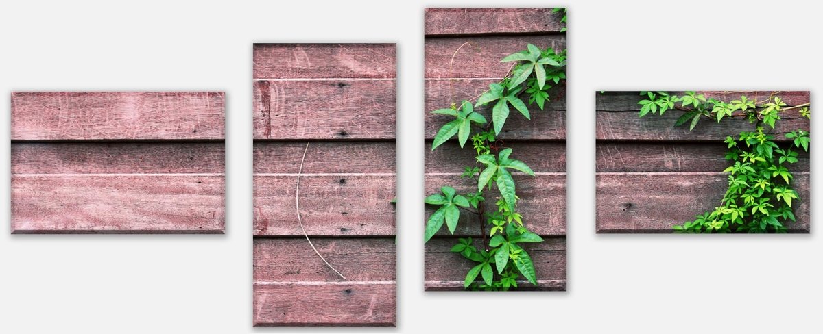 Leinwandbild Mehrteiler Wand mit Kletterpflanze M1004 Leinwandbild Mehrteiler Wand mit Kletterpflanze M1004