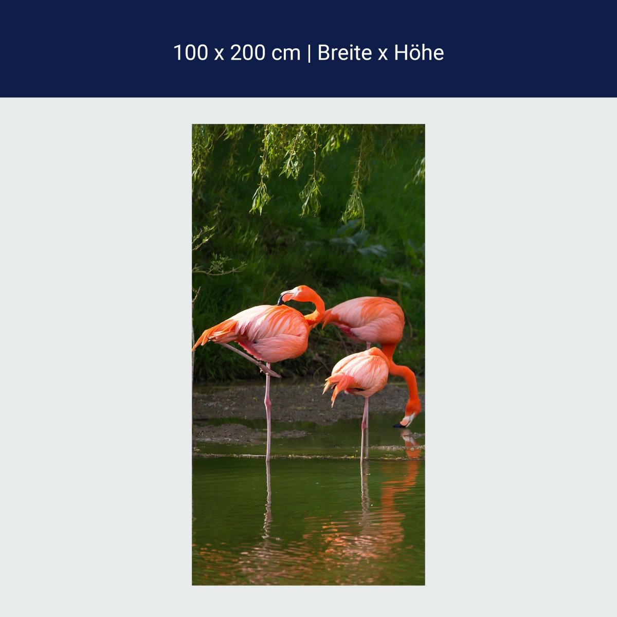 Duschwand Flamingos in einem Pool M1009