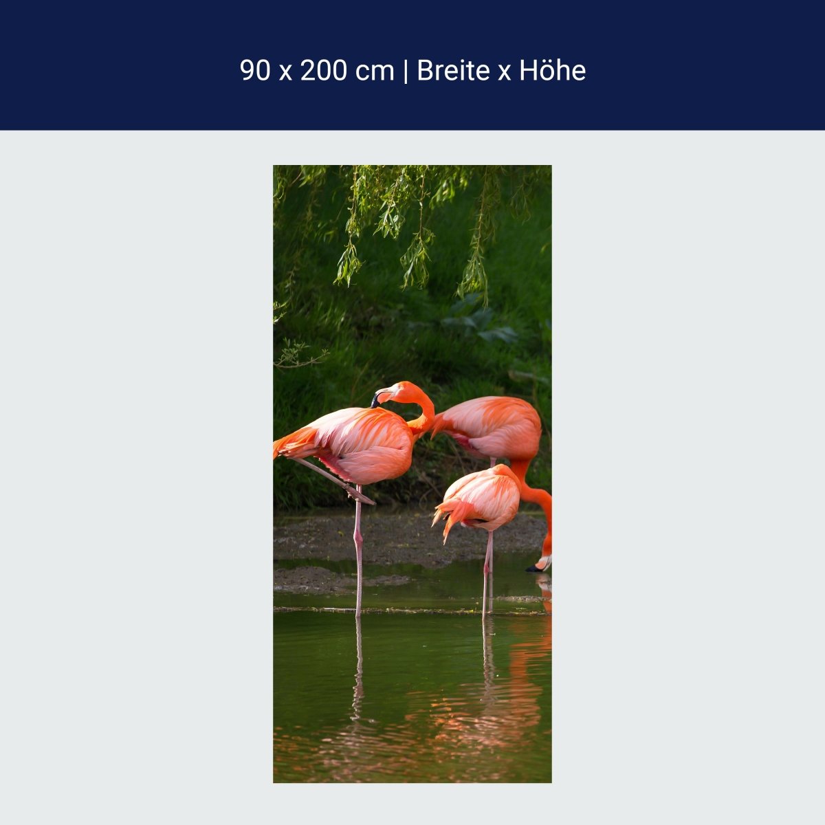 Duschwand Flamingos in einem Pool M1009 Duschwand Flamingos in einem Pool M1009