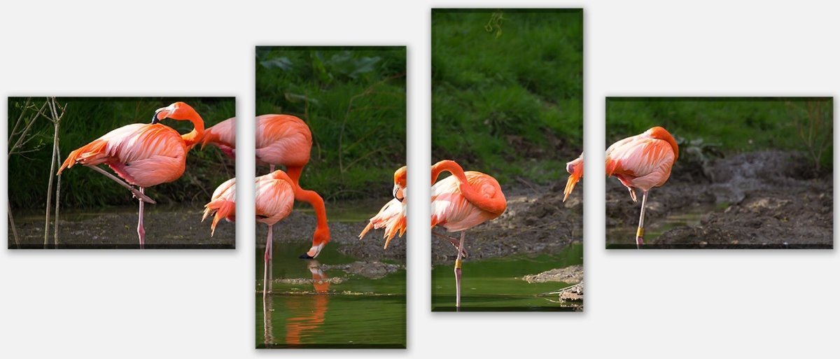 Leinwandbild Mehrteiler Flamingos in einem Pool M1009 Leinwandbild Mehrteiler Flamingos in einem Pool M1009