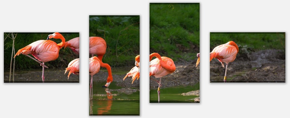 Leinwandbild Mehrteiler Flamingos in einem Pool M1009 Leinwandbild Mehrteiler Flamingos in einem Pool M1009