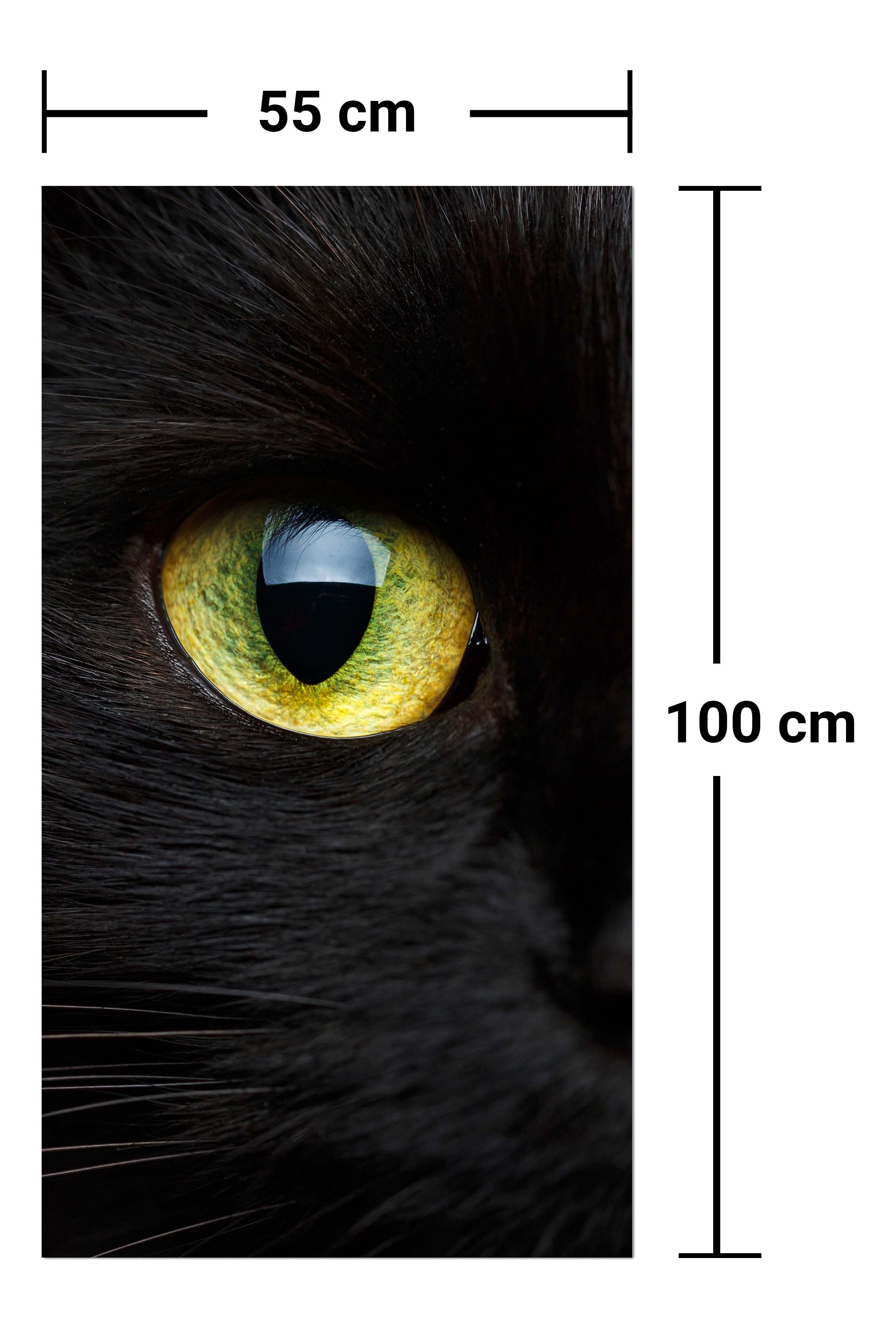 Garderobe Nahaufnahme der schwarzen Katze M1013 entdecken - Bild 7 Garderobe Nahaufnahme der schwarzen Katze M1013 entdecken - Bild 7