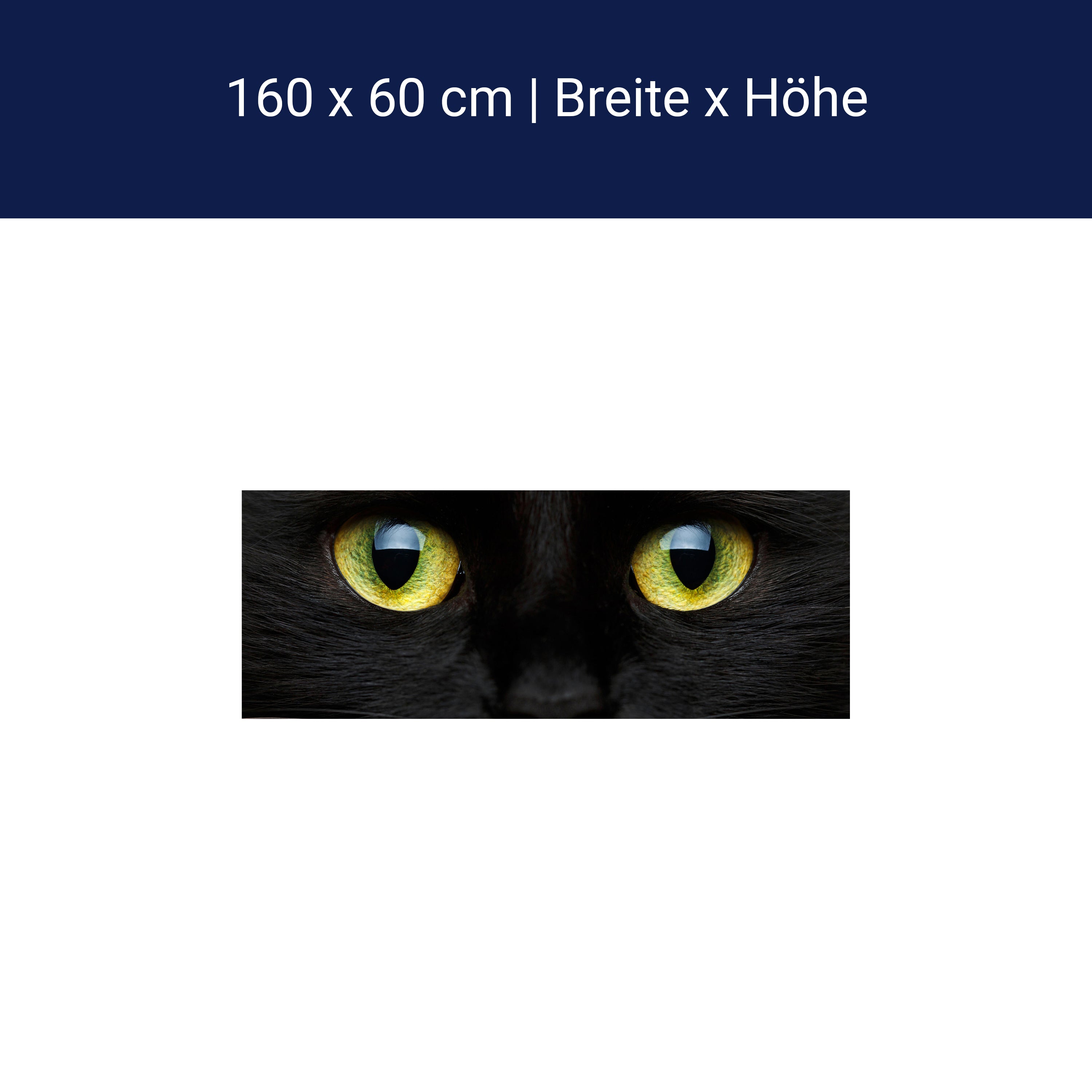 Küchenrückwand Nahaufnahme der schwarzen Katze M1013