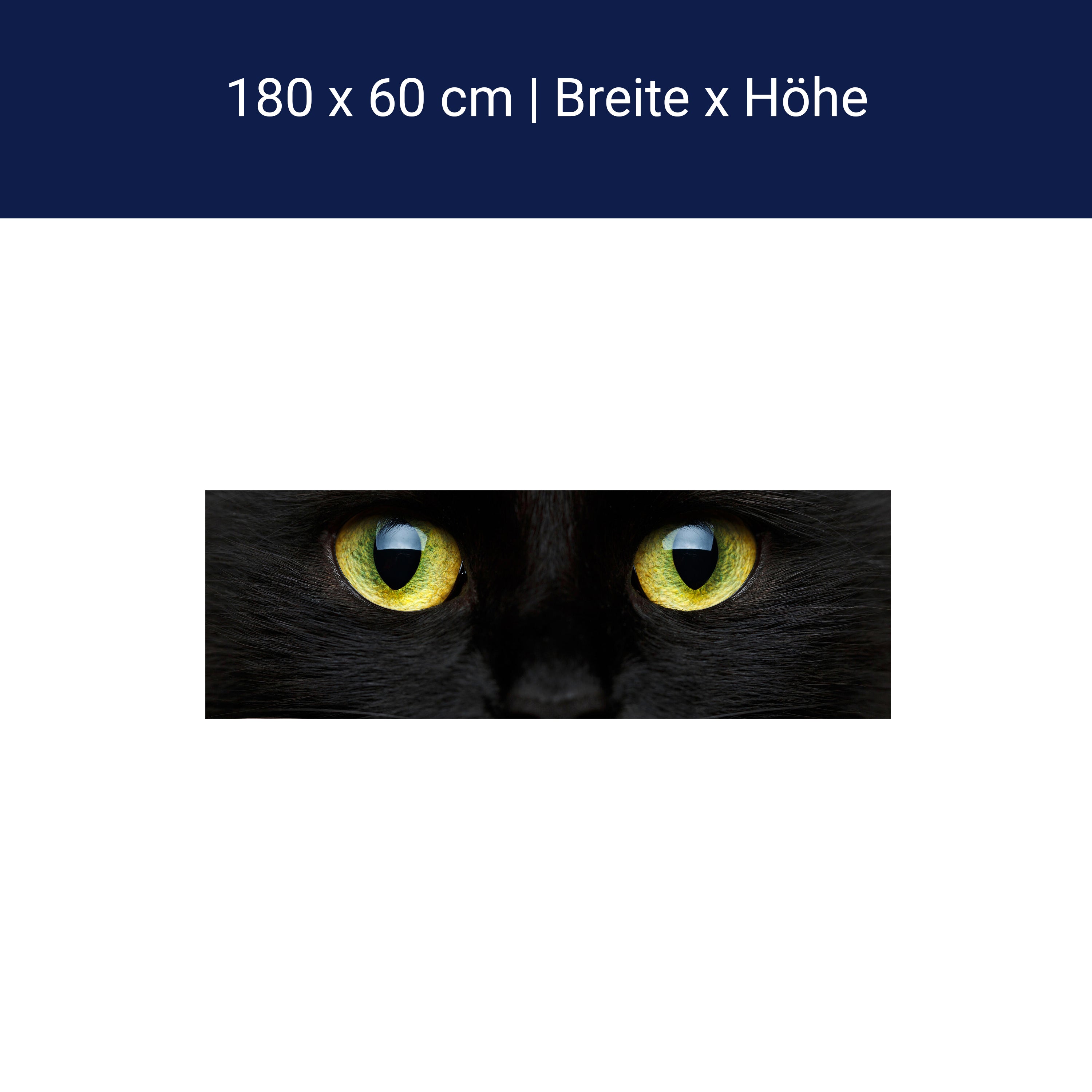 Küchenrückwand Nahaufnahme der schwarzen Katze M1013 Küchenrückwand Nahaufnahme der schwarzen Katze M1013