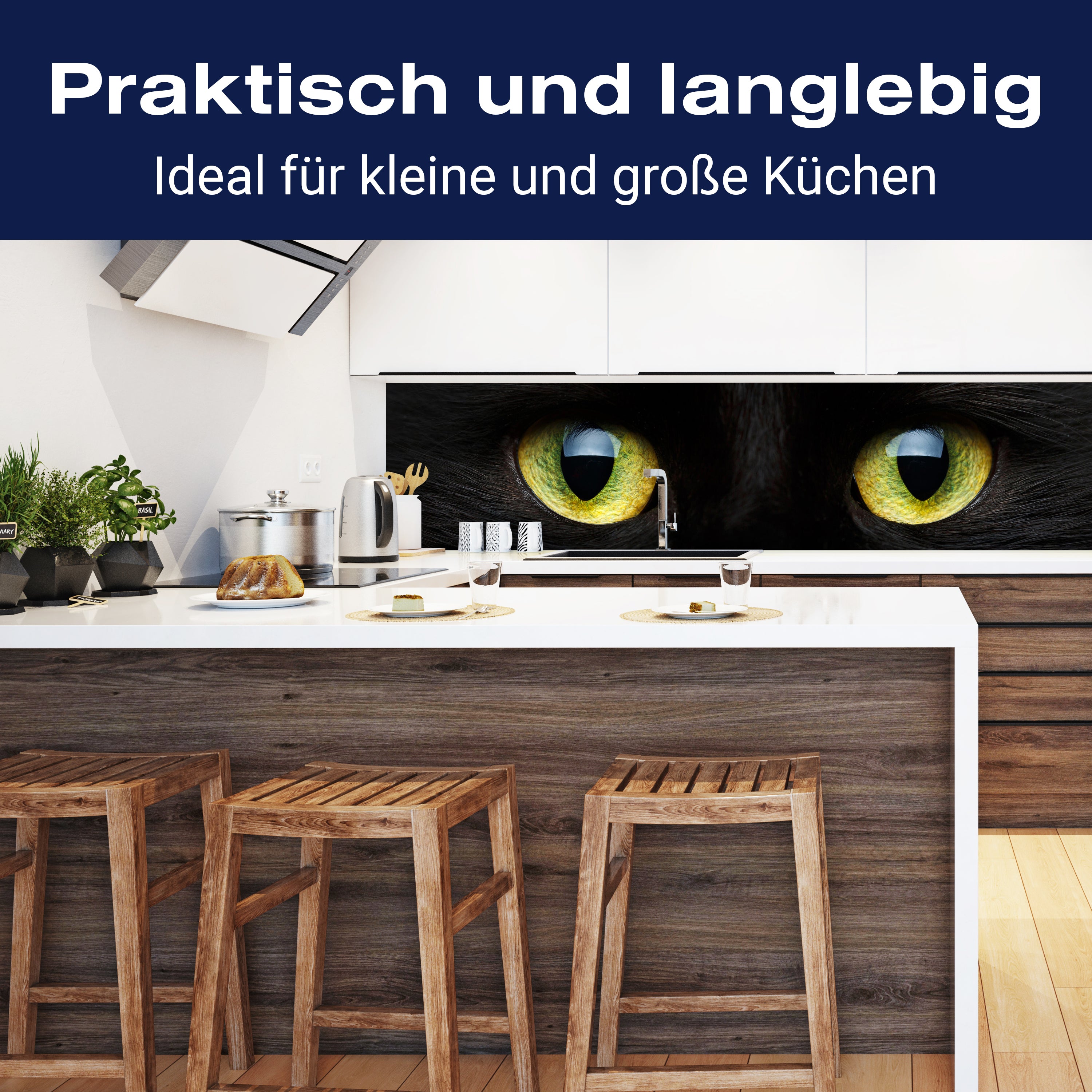 Küchenrückwand Nahaufnahme der schwarzen Katze M1013 entdecken - Bild 3 Küchenrückwand Nahaufnahme der schwarzen Katze M1013 entdecken - Bild 3