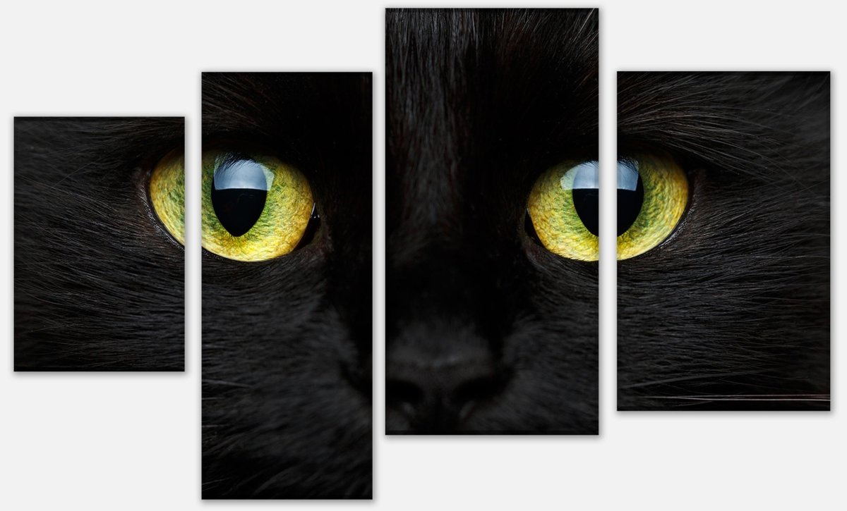 Leinwandbild Mehrteiler Nahaufnahme der schwarzen Katze M1013 Leinwandbild Mehrteiler Nahaufnahme der schwarzen Katze M1013