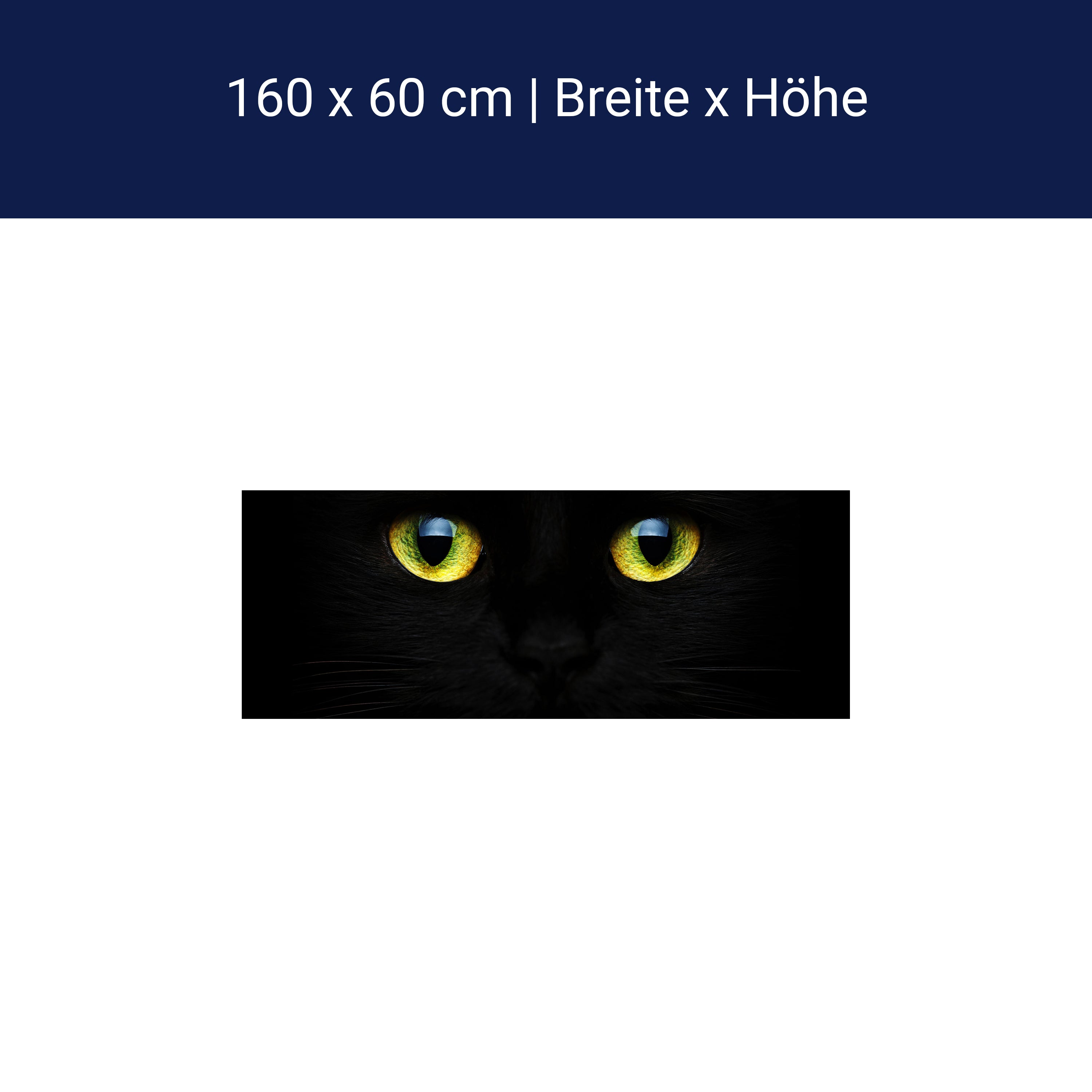 Küchenrückwand Mysteriöse Katzenaugen M1015 Küchenrückwand Mysteriöse Katzenaugen M1015