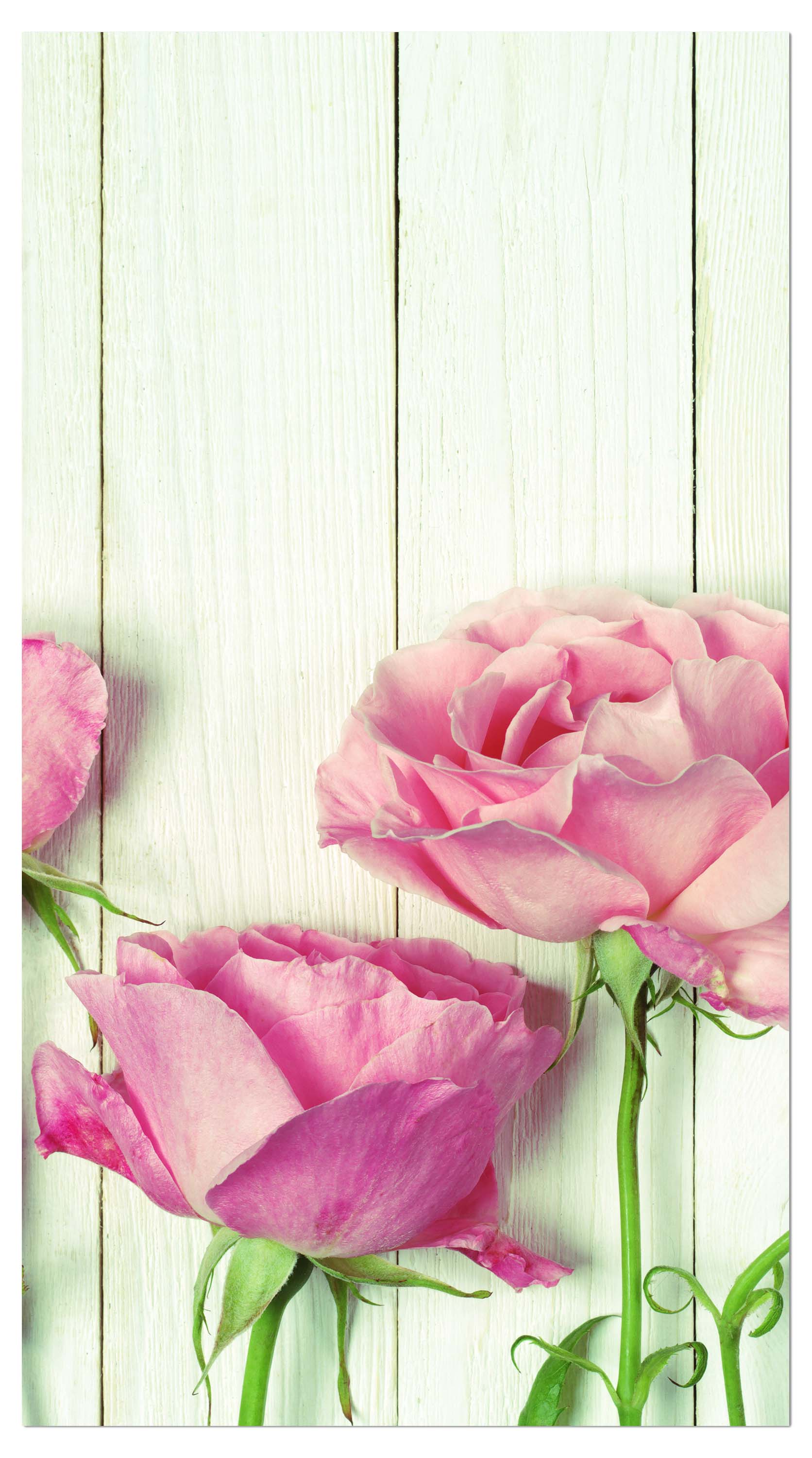 Garderobe Frische Gartenrosen M1021 entdecken - Bild 4 Garderobe Frische Gartenrosen M1021 entdecken - Bild 4