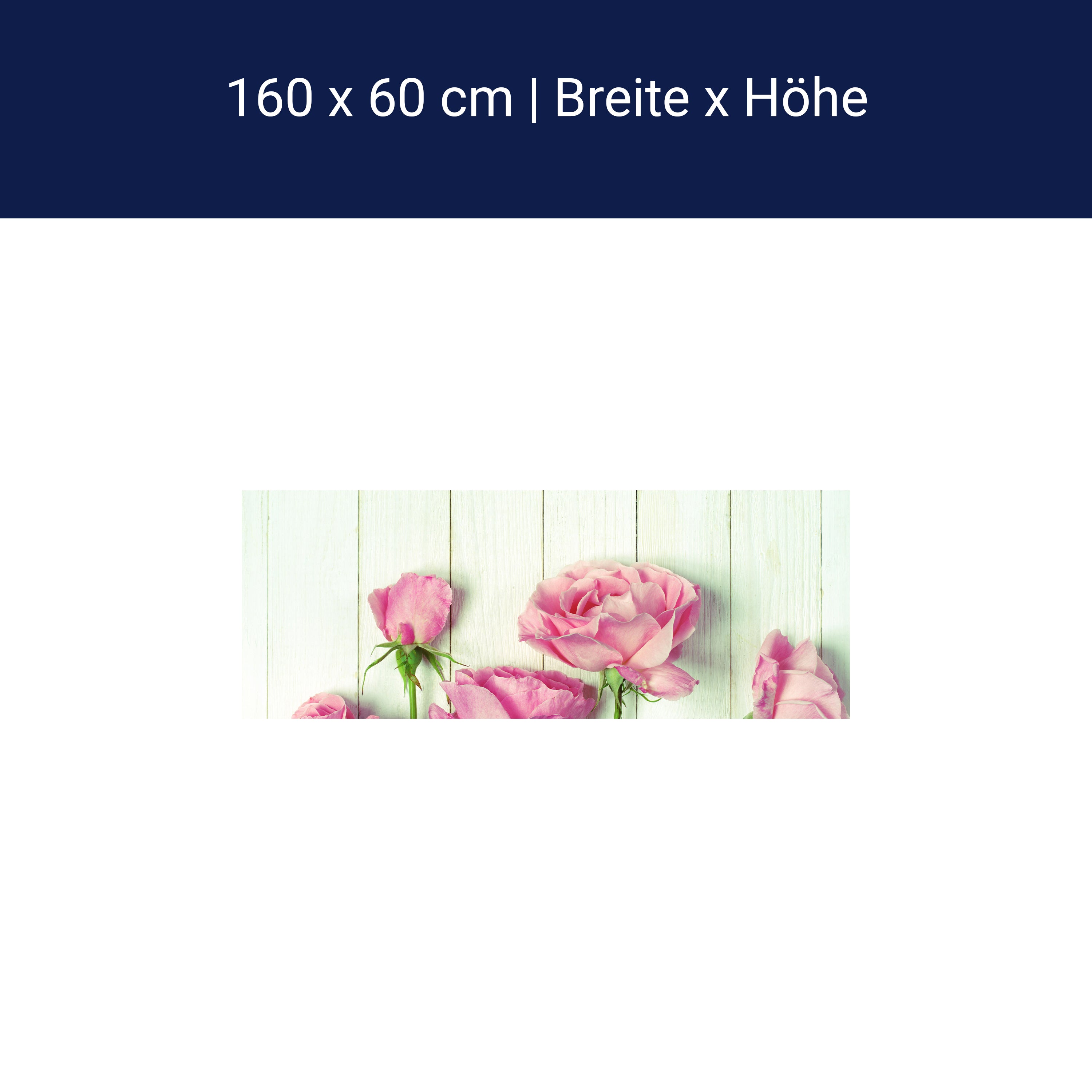 Küchenrückwand Frische Gartenrosen M1021 Küchenrückwand Frische Gartenrosen M1021