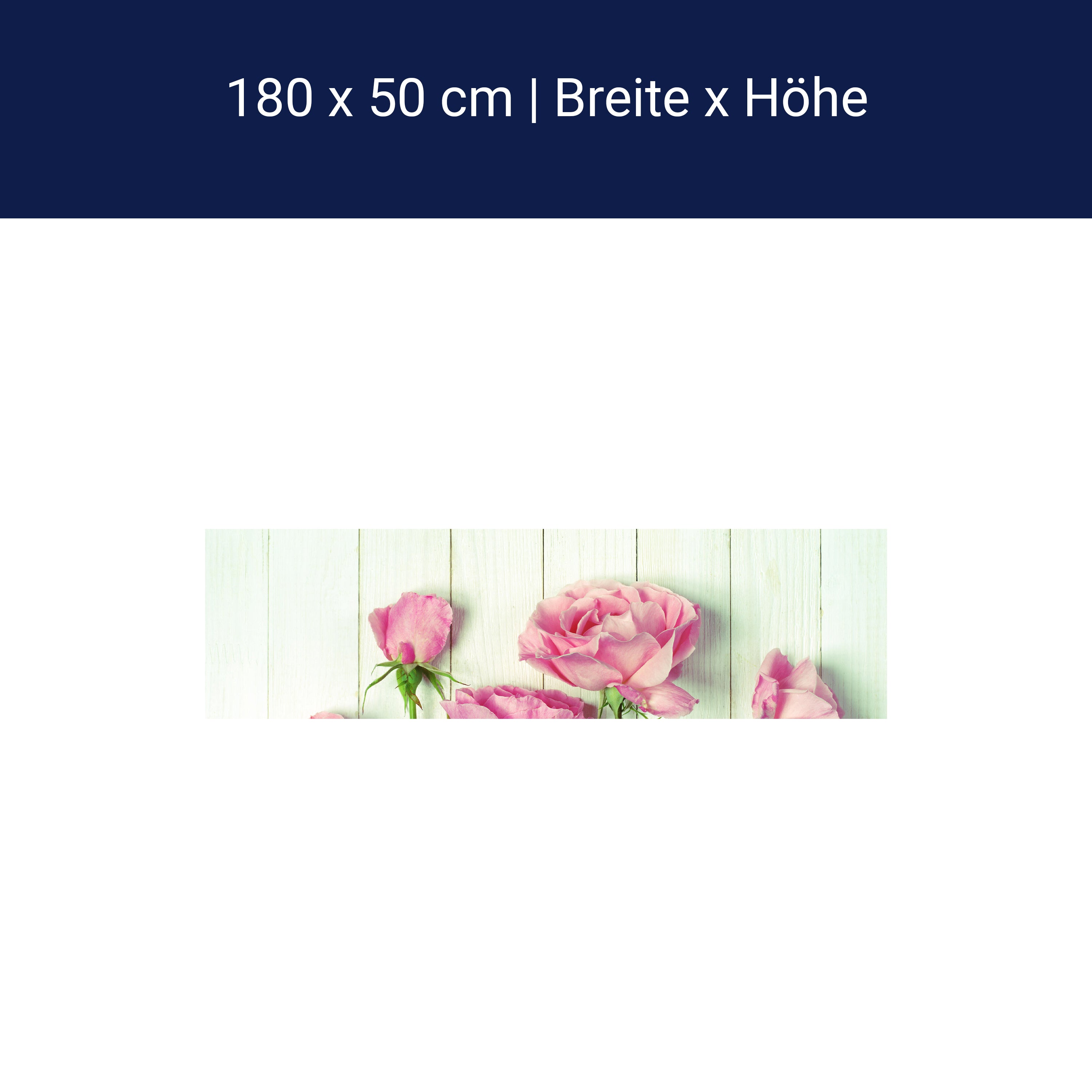 Küchenrückwand Frische Gartenrosen M1021 Küchenrückwand Frische Gartenrosen M1021