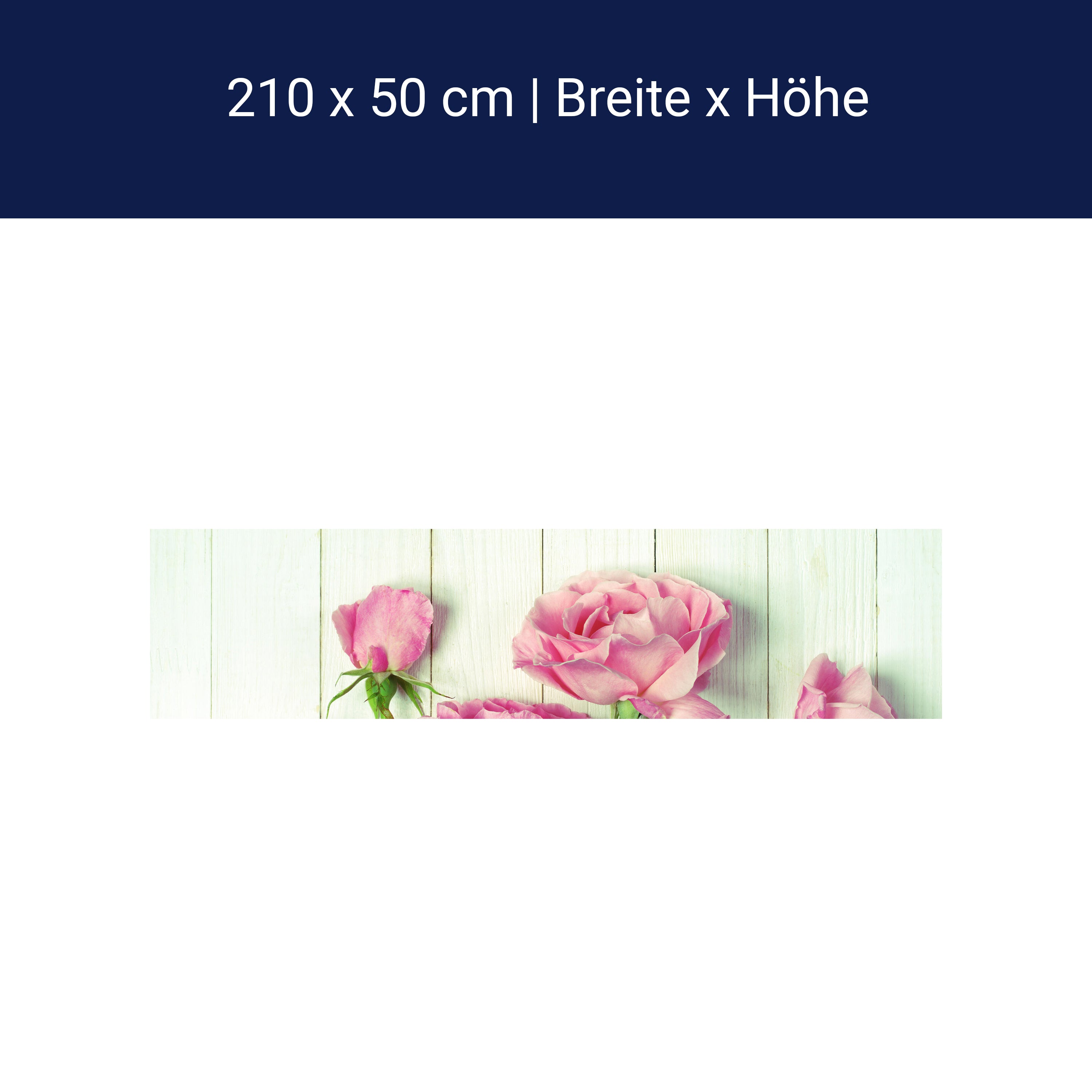 Küchenrückwand Frische Gartenrosen M1021 Küchenrückwand Frische Gartenrosen M1021