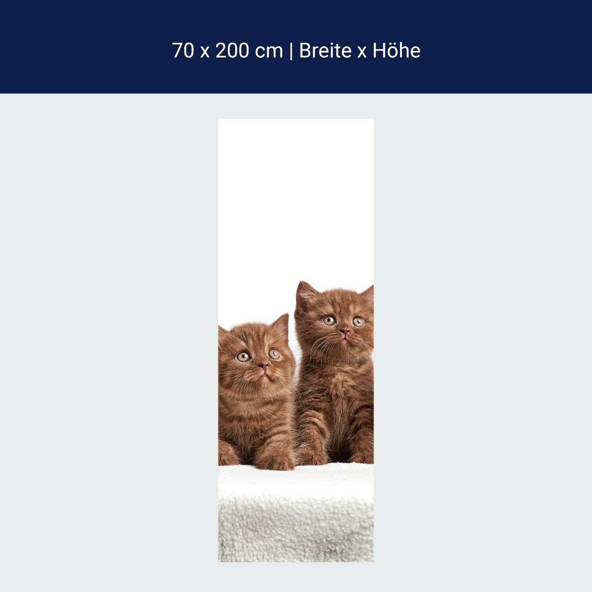 Duschwand Portrait von sechs braunen Kätzchen M1022 Duschwand Portrait von sechs braunen Kätzchen M1022
